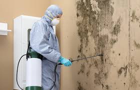 Biohazard Mold Removal in Beesleys Point, NJ